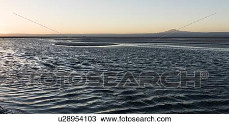 "Chaxa Lagoon, Los Flamencos National Reserve, San Pedro de Atacama, El Loa Province, Antofagasta Region, Chile" View Large Photo Image Stock Image - "Chaxa Lagoon, Los Flamencos National Reserve, San Pedro de Atacama, El Loa Province, Antofagasta Region, Chile". Fotosearch
