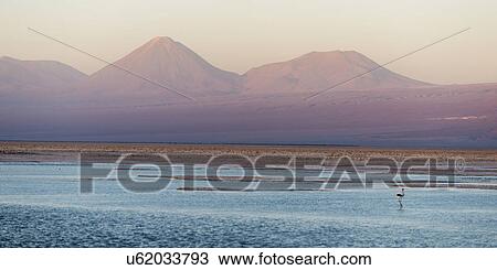 Stock Image - "Chaxa Lagoon, Los Flamencos National Reserve, San Pedro de Atacama, El Loa Province, Antofagasta Region, Chile". Fotosearch