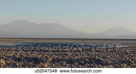 Stock Photo - "Chaxa Lagoon, Los Flamencos National Reserve, San Pedro de Atacama, El Loa Province, Antofagasta Region, Chile". Fotosearch