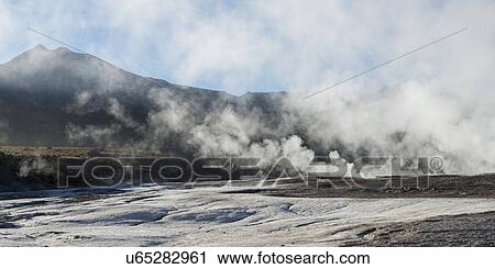 "El Tatio geyser, San Pedro de Atacama, El Loa Province, Antofagasta Region, Chile" View Large Photo Image Stock Image - "El Tatio geyser, San Pedro de Atacama, El Loa Province, Antofagasta Region, Chile". Fotosearch