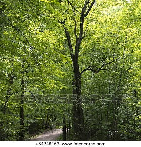 Stock Image - "Manoir-Papineau National Historic Site, Montebello, Quebec, Canada". Fotosearch
