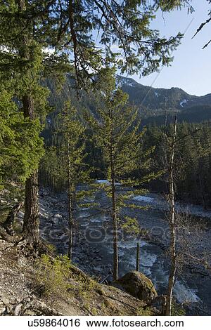Stock Photograph - "Nairn Falls Provincial Park, Whistler, British Columbia, Canada". Fotosearch
