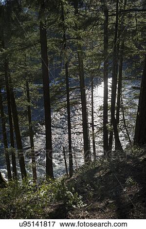 Stock Photo - "Pemberton, Whistler, British Columbia, Canada". Fotosearch