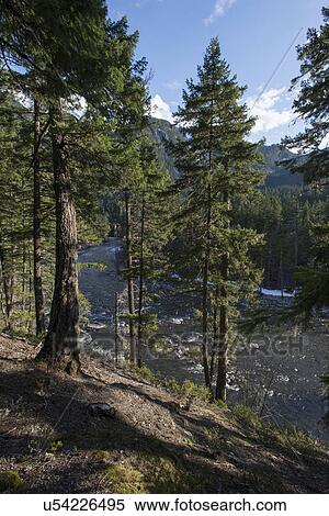 "Pemberton, Whistler, British Columbia, Canada" View Large Photo Image Stock Photography - "Pemberton, Whistler, British Columbia, Canada". Fotosearch