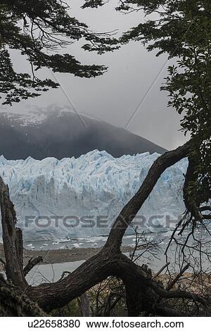 "Perito Moreno Glacier, Lake Argentino, Los Glaciares National Park, Santa Cruz Province, Patagonia, Argentina" View Large Photo Image Stock Image - "Perito Moreno Glacier, Lake Argentino, Los Glaciares National Park, Santa Cruz Province, Patagonia, Argentina". Fotosearch
