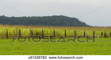 Stock Image - "Plaisance, Quebec, Canada". Fotosearch