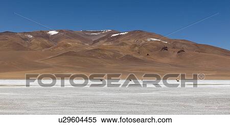 "Salar de Pujsa, Salar de Atacama, San Pedro de Atacama, El Loa Province, Antofagasta Region, Chile" View Large Photo Image Stock Photography - "Salar de Pujsa, Salar de Atacama, San Pedro de Atacama, El Loa Province, Antofagasta Region, Chile". Fotosearch