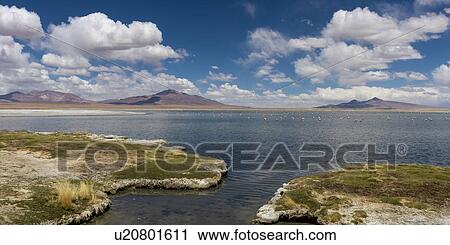 "Tara Salt Flat, Los Flamencos National Reserve, San Pedro de Atacama, El Loa Province, Antofagasta Region, Chile" View Large Photo Image Stock Image - "Tara Salt Flat, Los Flamencos National Reserve, San Pedro de Atacama, El Loa Province, Antofagasta Region, Chile". Fotosearch
