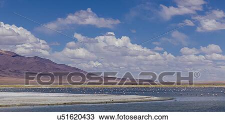 Stock Image - "Tara Salt Flat, Los Flamencos National Reserve, San Pedro de Atacama, El Loa Province, Antofagasta Region, Chile". Fotosearch