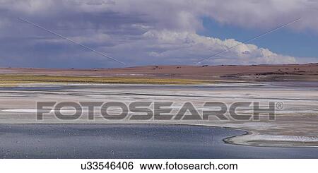Stock Photograph - "Tara Salt Flat, Los Flamencos National Reserve, San Pedro de Atacama, El Loa Province, Antofagasta Region, Chile". Fotosearch