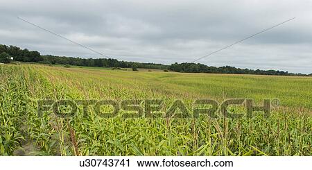 "Thurso, Quebec, Canada" View Large Photo Image Stock Image - "Thurso, Quebec, Canada". Fotosearch