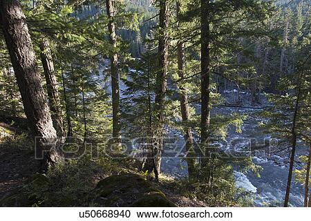 Stock Image - "Whistler, British Columbia, Canada". Fotosearch