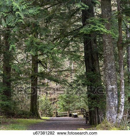 Stock Image - "Whistler, British Columbia, Canada". Fotosearch