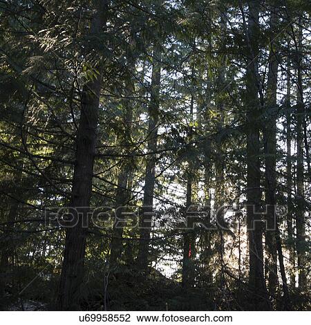 Stock Image - "Whistler, British Columbia, Canada". Fotosearch