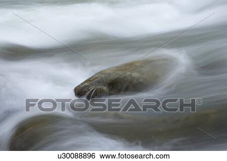 "Whistler, British Columbia, Canada" View Large Photo Image Stock Photograph - "Whistler, British Columbia, Canada". Fotosearch