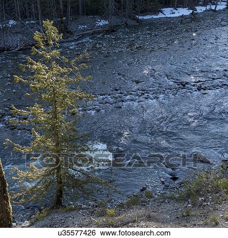 "Whistler, British Columbia, Canada" View Large Photo Image Stock Photograph - "Whistler, British Columbia, Canada". Fotosearch