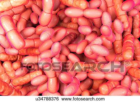 Acetic acid bacteria, illustration View Large Illustration Stock Illustration - Acetic acid bacteria, illustration. Fotosearch
