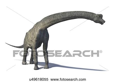 Brachiosaurus View Large Illustration Stock Illustration - Brachiosaurus. Fotosearch