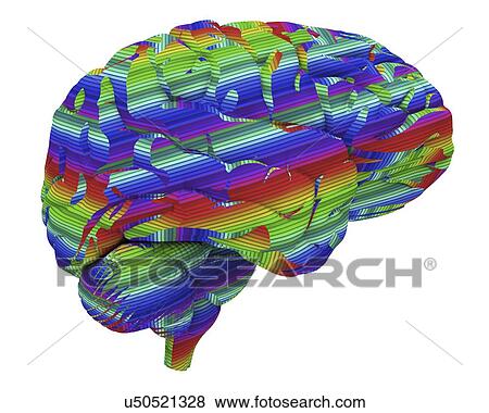 Brain, artwork View Large Illustration Stock Illustration - Brain, artwork. Fotosearch