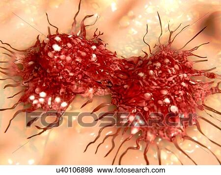 "Dividing cancer cell, illustration. " View Large Illustration Stock Illustration - "Dividing cancer cell, illustration. ". Fotosearch