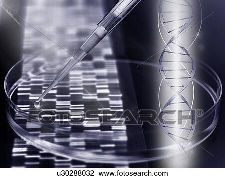 DNA research View Large Illustration Drawing - DNA research. Fotosearch