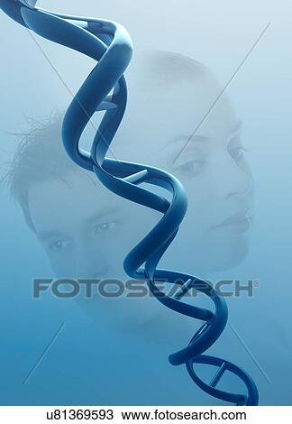 Double helix and people, illustration View Large Illustration Drawing - Double helix and people, illustration. Fotosearch