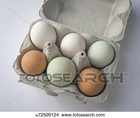 Egg pigmentation View Large Photo Image Picture - Egg pigmentation. Fotosearch