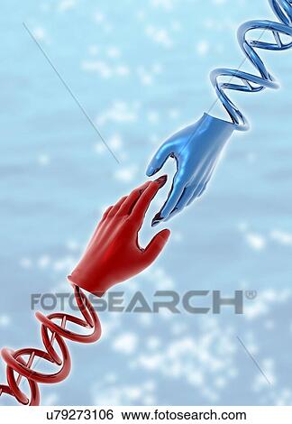 Hands with double helix, illustration View Large Illustration Stock Illustration - Hands with double helix, illustration. Fotosearch