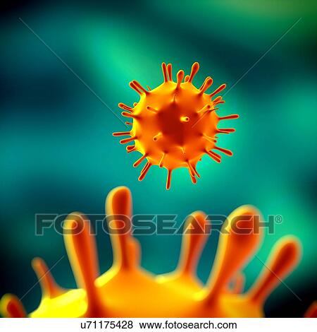 Stock Illustration - Influenza virus (H1N1), illustration. Fotosearch