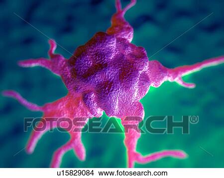 Stock Illustration - Macrophage, illustration. Fotosearch