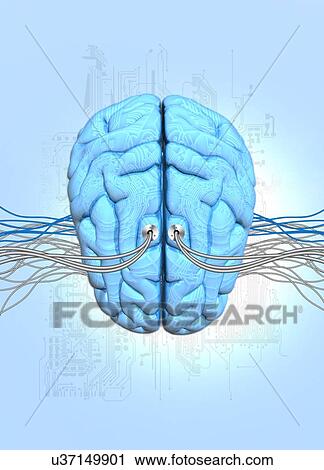 Neuromorphic engineering, illustration View Large Illustration Clip Art - Neuromorphic engineering, illustration. Fotosearch