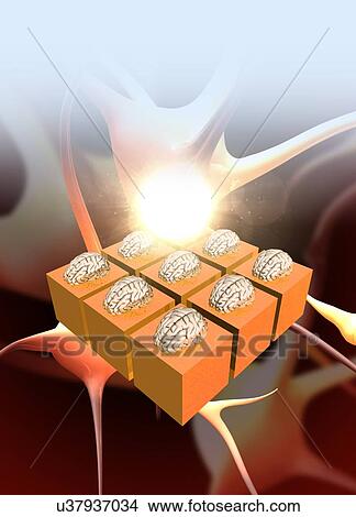 Stock Illustration - Neuromorphic engineering, illustration. Fotosearch