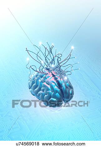 Neuromorphic engineering, illustration View Large Illustration Stock Illustration - Neuromorphic engineering, illustration. Fotosearch