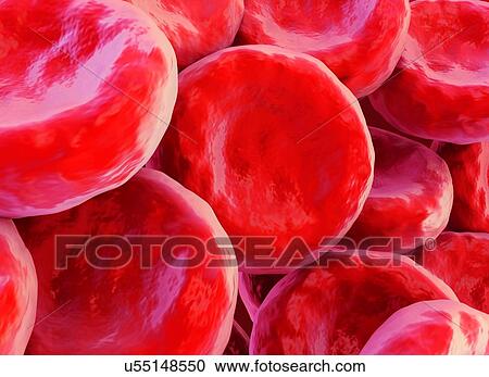 Red blood cells, illustration View Large Illustration Clipart - Red blood cells, illustration. Fotosearch
