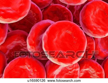 Stock Illustration - Red blood cells, illustration. Fotosearch