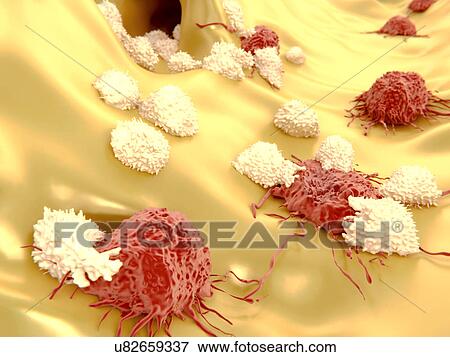 T-lymphocytes and cancer cells View Large Illustration Stock Illustration - T-lymphocytes and cancer cells. Fotosearch