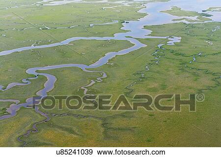 Stock Photo - "Aerial view of marshes and mangrove forest at Sian Ka'an natural reserve, Quintana Roo, Mexico". Fotosearch