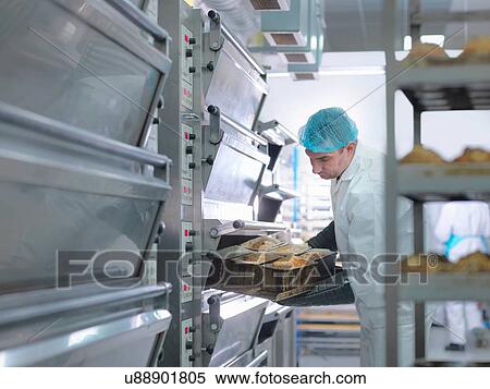Baker taking cakes out of oven in cake factory View Large Photo Image Stock Photography - Baker taking cakes out of oven in cake factory. Fotosearch