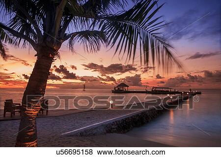 "Beach trees at sunset, Ari Atoll, Maldives" View Large Photo Image Stock Photo - "Beach trees at sunset, Ari Atoll, Maldives". Fotosearch