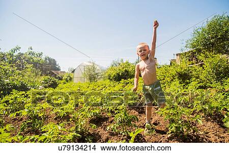 Boy among plants View Large Photo Image Picture - Boy among plants. Fotosearch