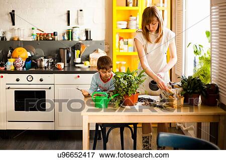 Stock Photo - Boy and mother tending pot plants at kitchen table. Fotosearch
