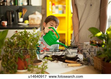 Stock Photo - Boy watering pot plants at kitchen table. Fotosearch