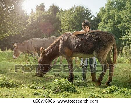 "Boy with donkey in field, portrait" View Large Photo Image Stock Photography - "Boy with donkey in field, portrait". Fotosearch