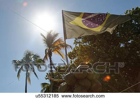 Stock Photography - "Brazilian flag and coconuts, Rio De Janeiro, Brazil". Fotosearch
