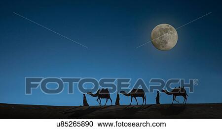 Stock Image - "Camel caravan with night sky and full moon, Dubai, United Arab Emirates". Fotosearch