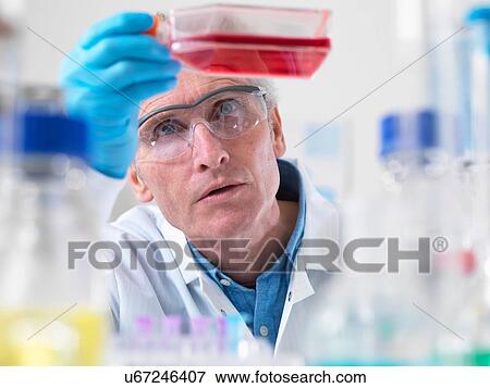 Stock Photo - Close up of cell biologist holding a flask containing stem cells. Fotosearch
