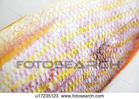 Stock Image - Close up of raw yellow and pink fish skin. Fotosearch