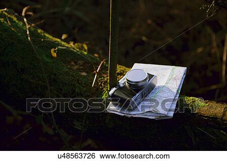 Stock Photograph - Digital camera and folding map on tree branch in woods. Fotosearch