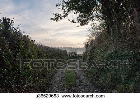 Stock Image - "Dirt track, Gunislake, Cornwall, England". Fotosearch
