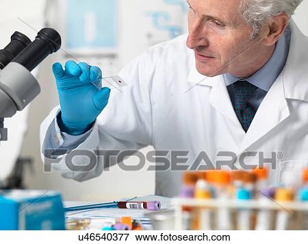 Stock Photo - Doctor viewing patients blood slide and other samples under microscope for testing. Fotosearch